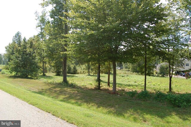 Ark Ave, Bumpass, VA 23024 - photo 5