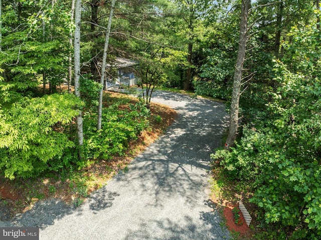236 Laurel Dr, Madison, VA 22727 - view of asphalt driveway with a view of trees