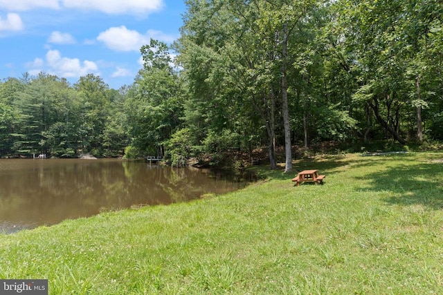 236 Laurel Dr, Madison, VA 22727 - view of yard with a water view and a wooded view