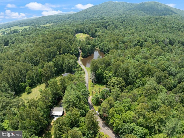 236 Laurel Dr, Madison, VA 22727 - aerial view of property's location with a mountain backdrop