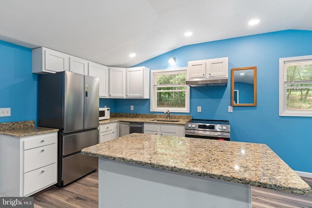 236 Laurel Dr, Madison, VA 22727 - kitchen featuring stainless steel appliances, dark wood-style flooring, vaulted ceiling, white cabinets, and light stone counters