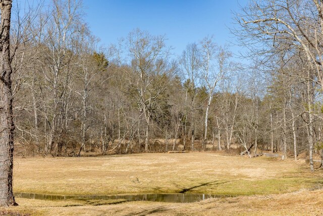 358 County Line Ln, Broadway, VA 22815 - view of nature
