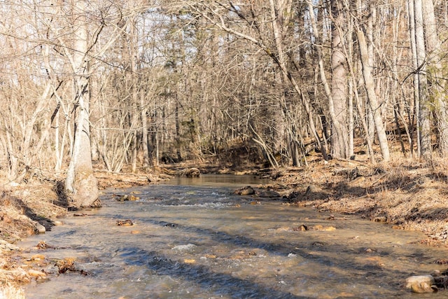358 County Line Ln, Broadway, VA 22815 - view of local wilderness