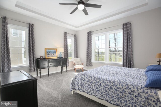 carpeted bedroom with a raised ceiling, multiple windows, baseboards, and crown molding