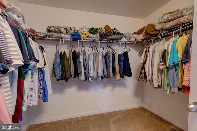 2018 Silver Bell Ct, Culpeper, VA 22701 - walk in closet featuring carpet