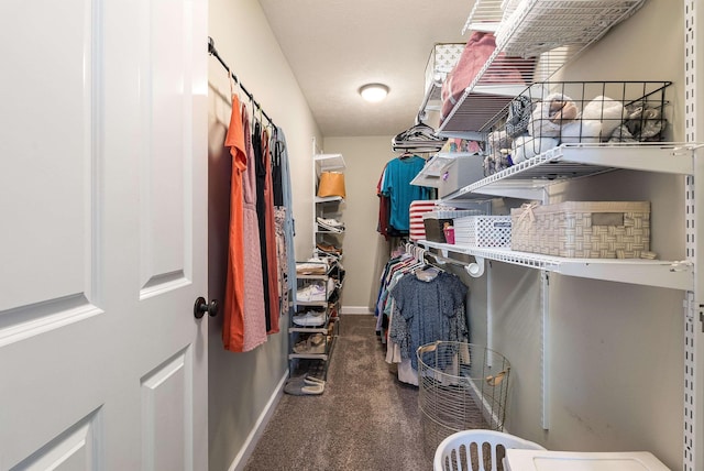 324 Rustic Ave, Broadway, VA 22815 - walk in closet featuring carpet flooring