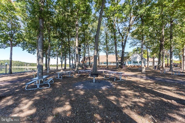 106 Monroe St, Locust Grove, VA 22508 - photo 45