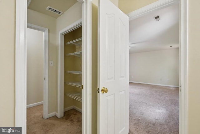 10108 Chesney Dr, Spotsylvania, VA 22553 - photo 38