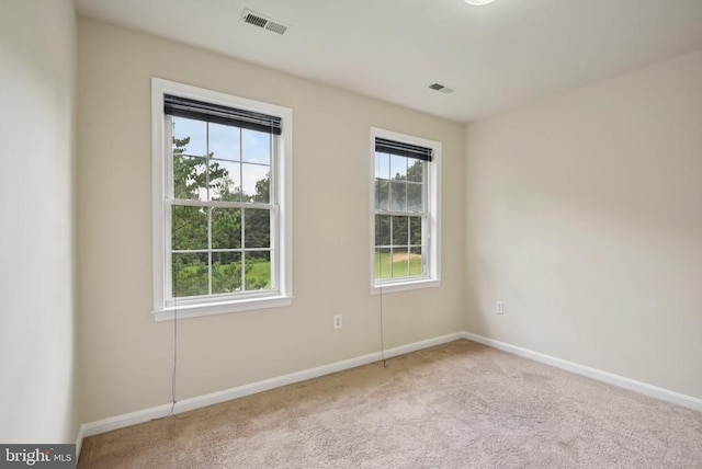 10108 Chesney Dr, Spotsylvania, VA 22553 - photo 29