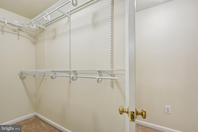 10108 Chesney Dr, Spotsylvania, VA 22553 - photo 37