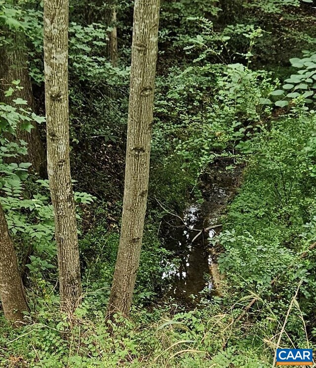 000 Tyler Rd, Crewe, VA 23930
