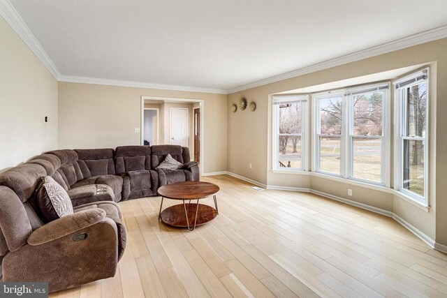 9150 James Madison Hwy, Warrenton, VA 20186 - living area featuring ornamental molding and light wood-style flooring