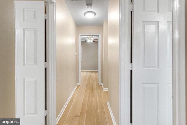9150 James Madison Hwy, Warrenton, VA 20186 - corridor with light wood-style floors and baseboards