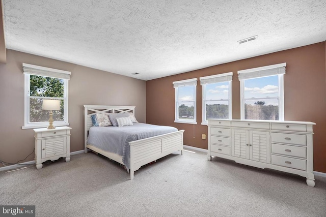 9235 Lees Ridge Rd, Warrenton, VA 20186 - photo 19
