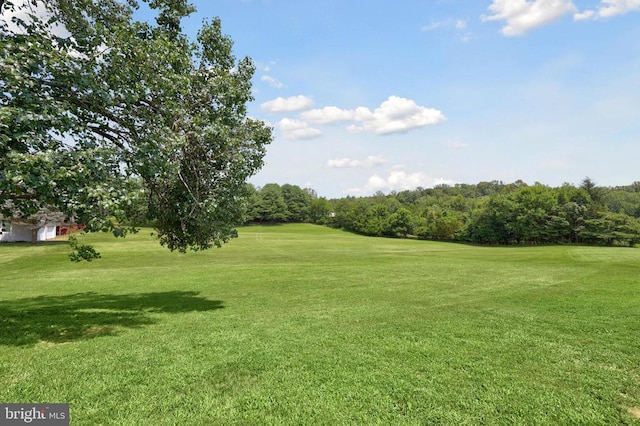 9235 Lees Ridge Rd, Warrenton, VA 20186 - photo 42