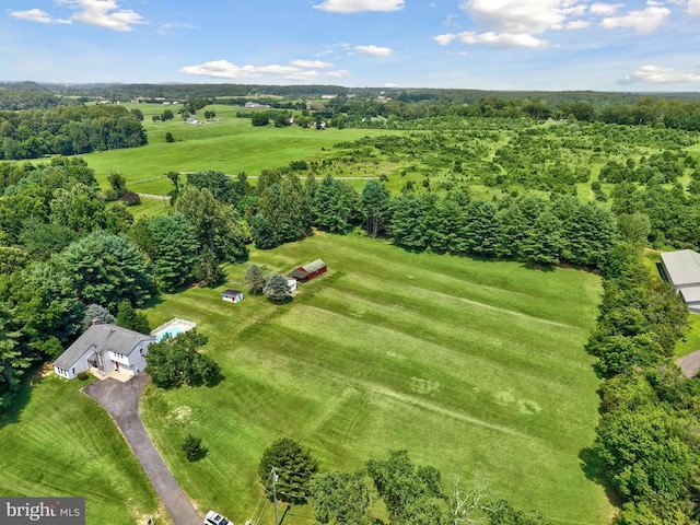 9235 Lees Ridge Rd, Warrenton, VA 20186 - photo 5