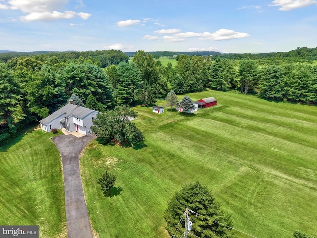9235 Lees Ridge Rd, Warrenton, VA 20186 - photo 51