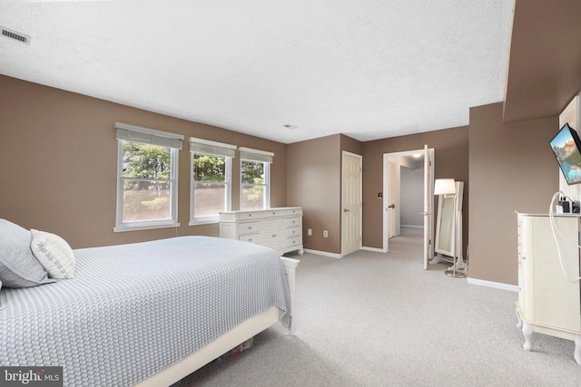9235 Lees Ridge Rd, Warrenton, VA 20186 - photo 21