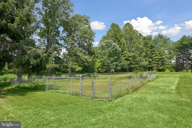 9235 Lees Ridge Rd, Warrenton, VA 20186 - photo 45