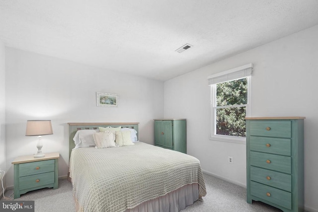 9235 Lees Ridge Rd, Warrenton, VA 20186 - photo 26