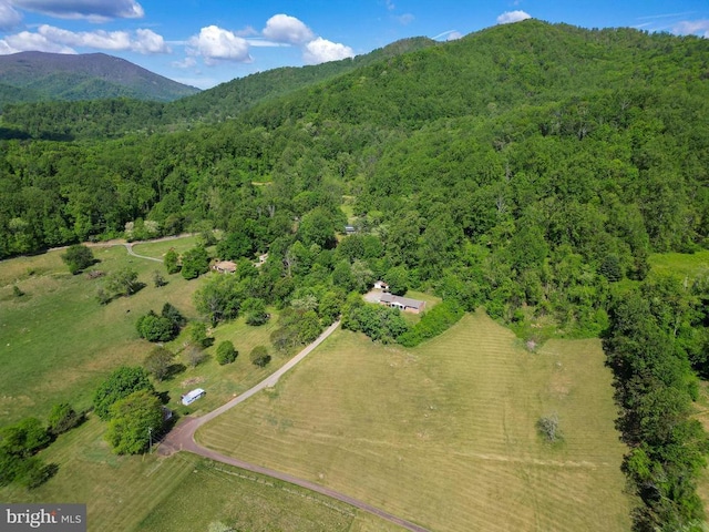 40 Antique Ln, Sperryville, VA 22740 - photo 7