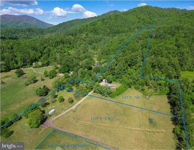 40 Antique Ln, Sperryville, VA 22740 - photo 8