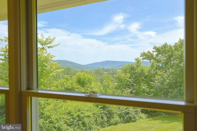 40 Antique Ln, Sperryville, VA 22740 - photo 26