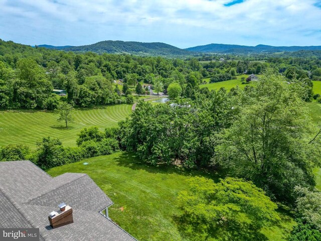 40 Antique Ln, Sperryville, VA 22740 - photo 3