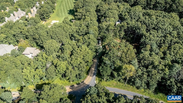 116 E Catoctin Dr, Wintergreen Resort, VA 22967