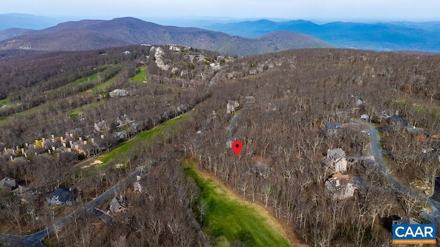 116 E Catoctin Dr, Wintergreen Resort, VA 22967