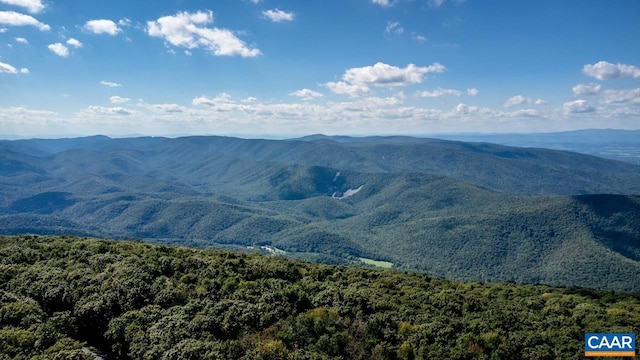 116 E Catoctin Dr, Wintergreen Resort, VA 22967