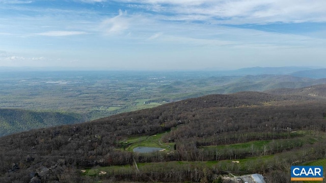 116 E Catoctin Dr, Wintergreen Resort, VA 22967
