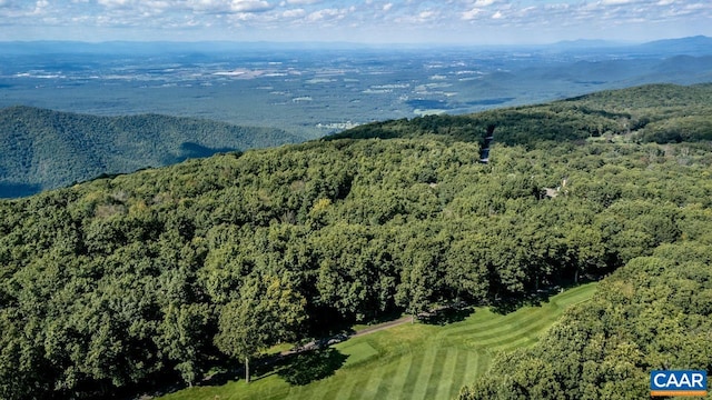 116 E Catoctin Dr, Wintergreen Resort, VA 22967