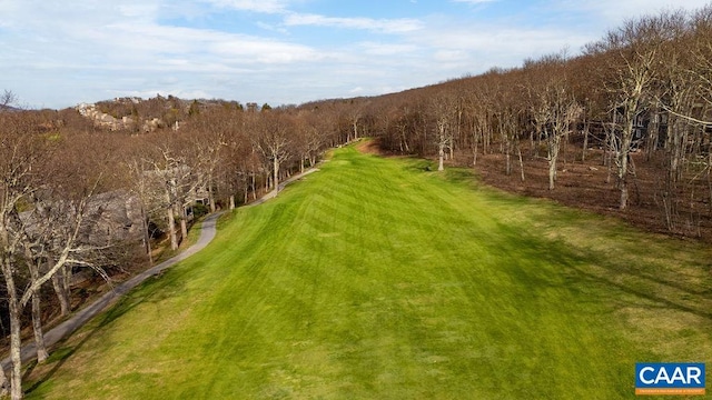 116 E Catoctin Dr, Wintergreen Resort, VA 22967