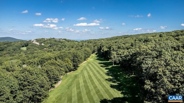 116 E Catoctin Dr, Wintergreen Resort, VA 22967