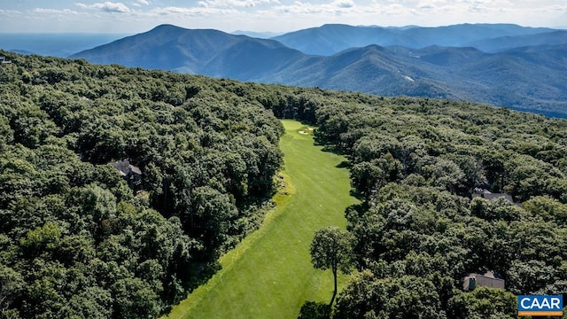 116 E Catoctin Dr, Wintergreen Resort, VA 22967