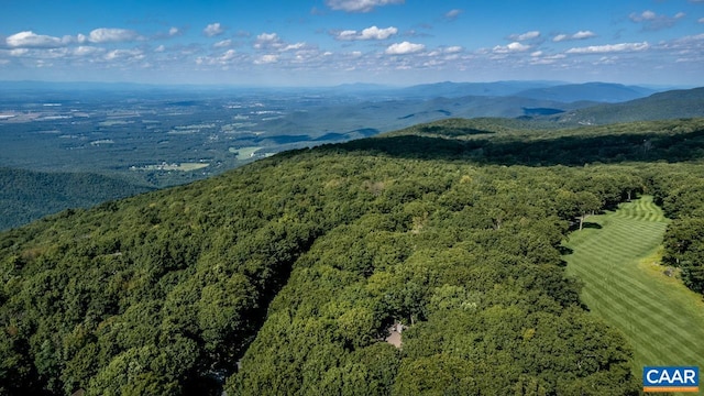 116 E Catoctin Dr, Wintergreen Resort, VA 22967