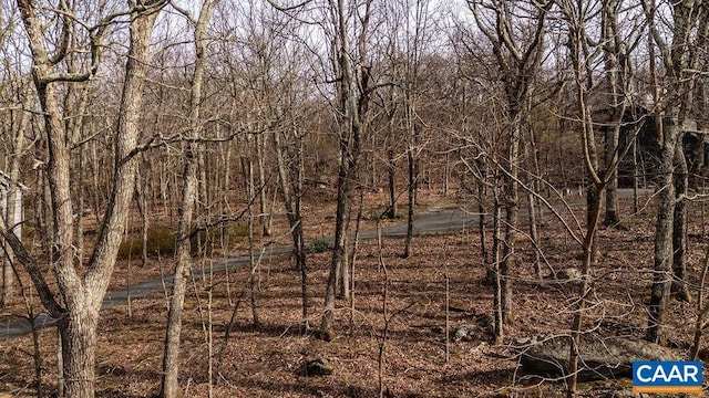 116 E Catoctin Dr, Wintergreen Resort, VA 22967