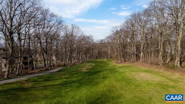116 E Catoctin Dr, Wintergreen Resort, VA 22967