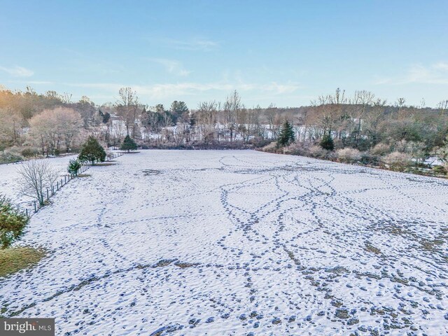 view of yard covered in snow