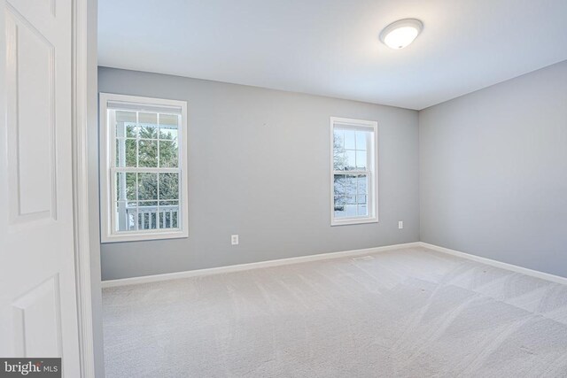 empty room featuring plenty of natural light and carpet