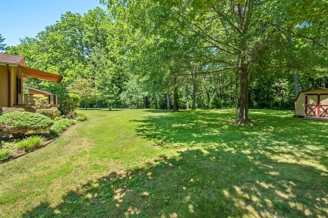 616 Lynn Ln, Waynesboro, VA 22980 - view of grassy yard with a storage shed