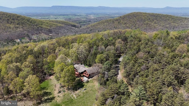 974 Cross Mountain Rd, Luray, VA 22835 - drone / aerial view featuring a forest view and a mountain view