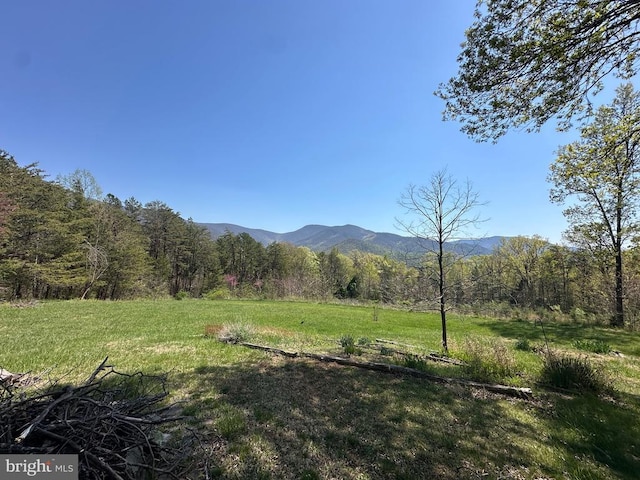 974 Cross Mountain Rd, Luray, VA 22835 - mountain view featuring a view of trees