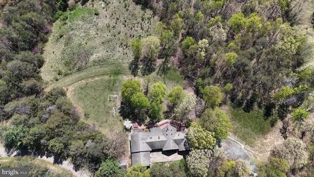 974 Cross Mountain Rd, Luray, VA 22835 - bird's eye view with a view of trees