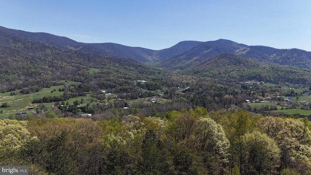 974 Cross Mountain Rd, Luray, VA 22835 - property view of mountains with a view of trees