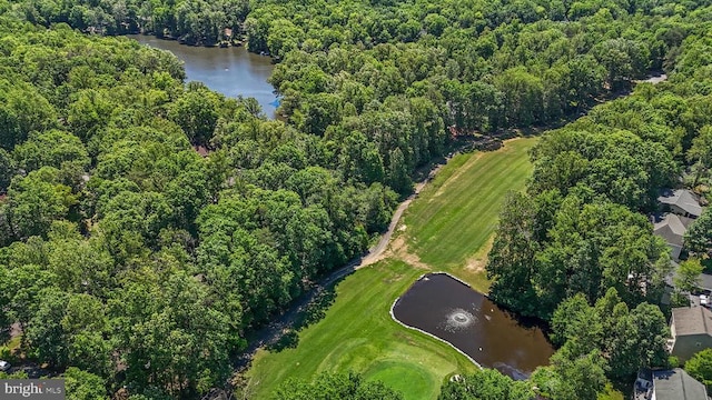 1315 Eastover Pkwy, Locust Grove, VA 22508 - aerial overview of property's location featuring a large body of water and a heavily wooded area