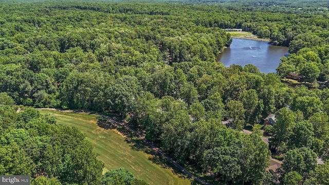 1315 Eastover Pkwy, Locust Grove, VA 22508 - aerial view of property's location featuring a nearby body of water and a heavily wooded area