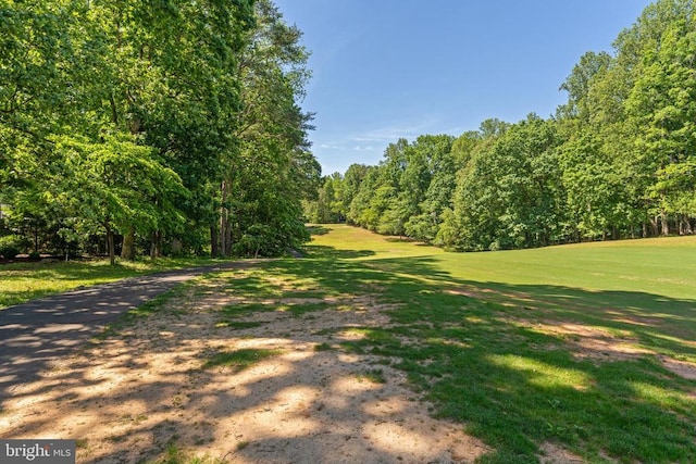 1315 Eastover Pkwy, Locust Grove, VA 22508 - view of property's community with a lawn