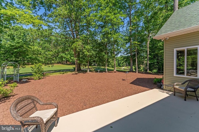 1315 Eastover Pkwy, Locust Grove, VA 22508 - view of yard featuring a patio area and view of wooded area